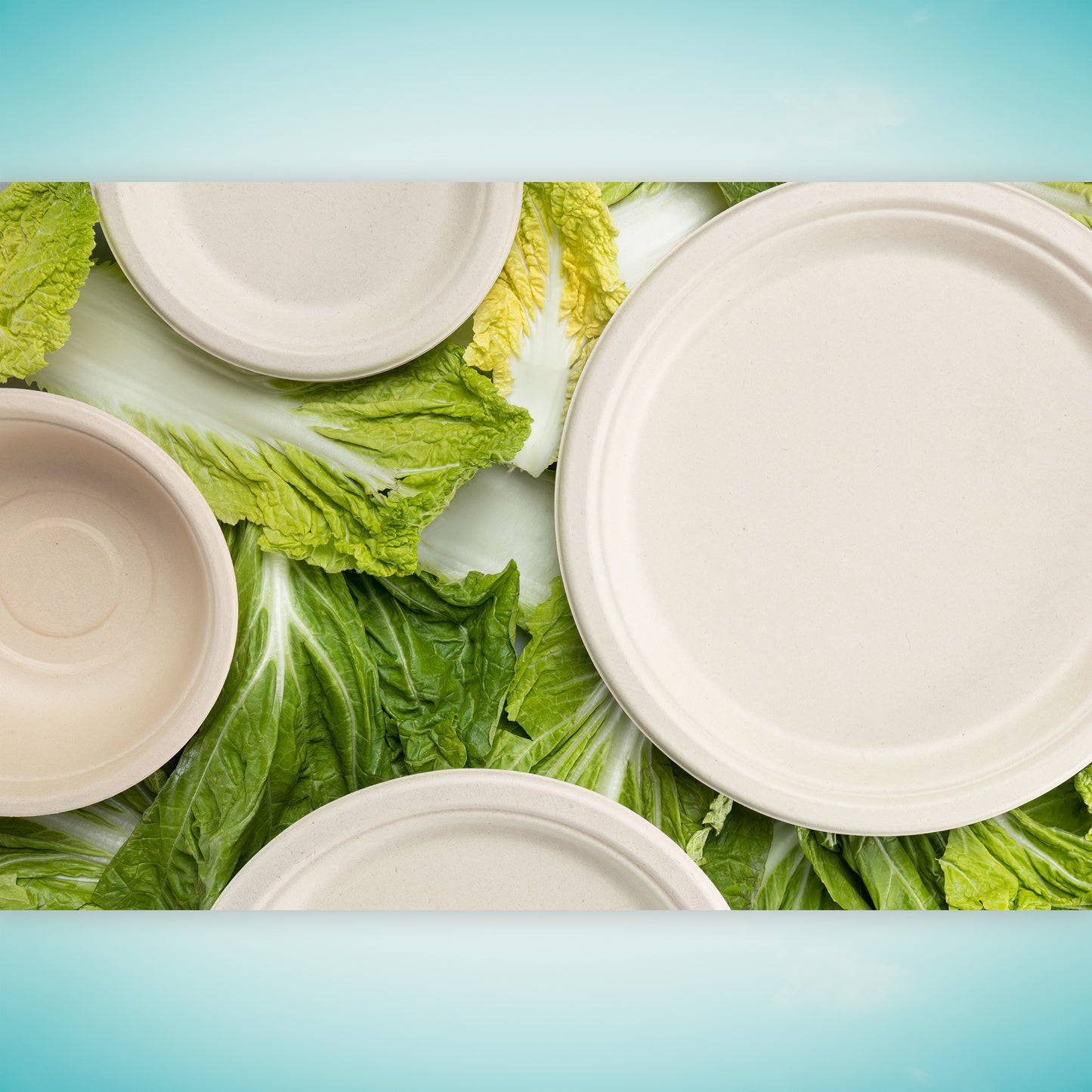 Matter Compostable 6-Inch Plates - 20 Count