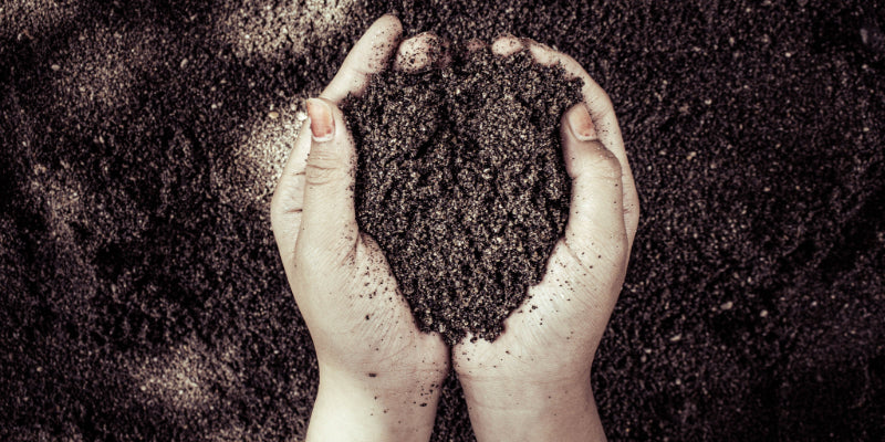 What Happens After You Compost?