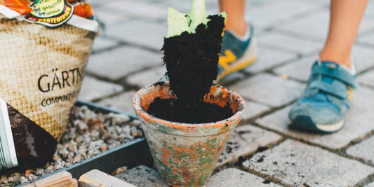 Compost Brings Dead Soil Back to Life