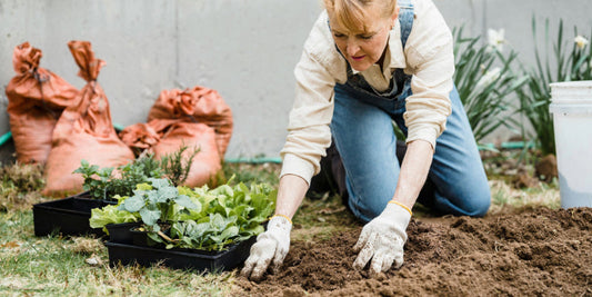 Composting at Home: How to Start a Compost Pile This Spring