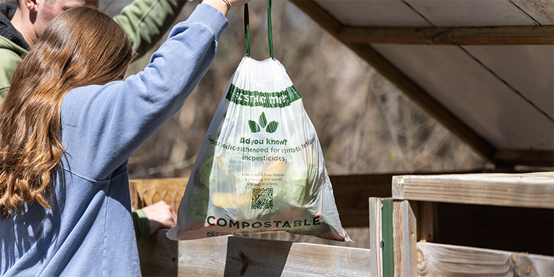 Sustainable Packaging Alternatives to Conventional Plastic