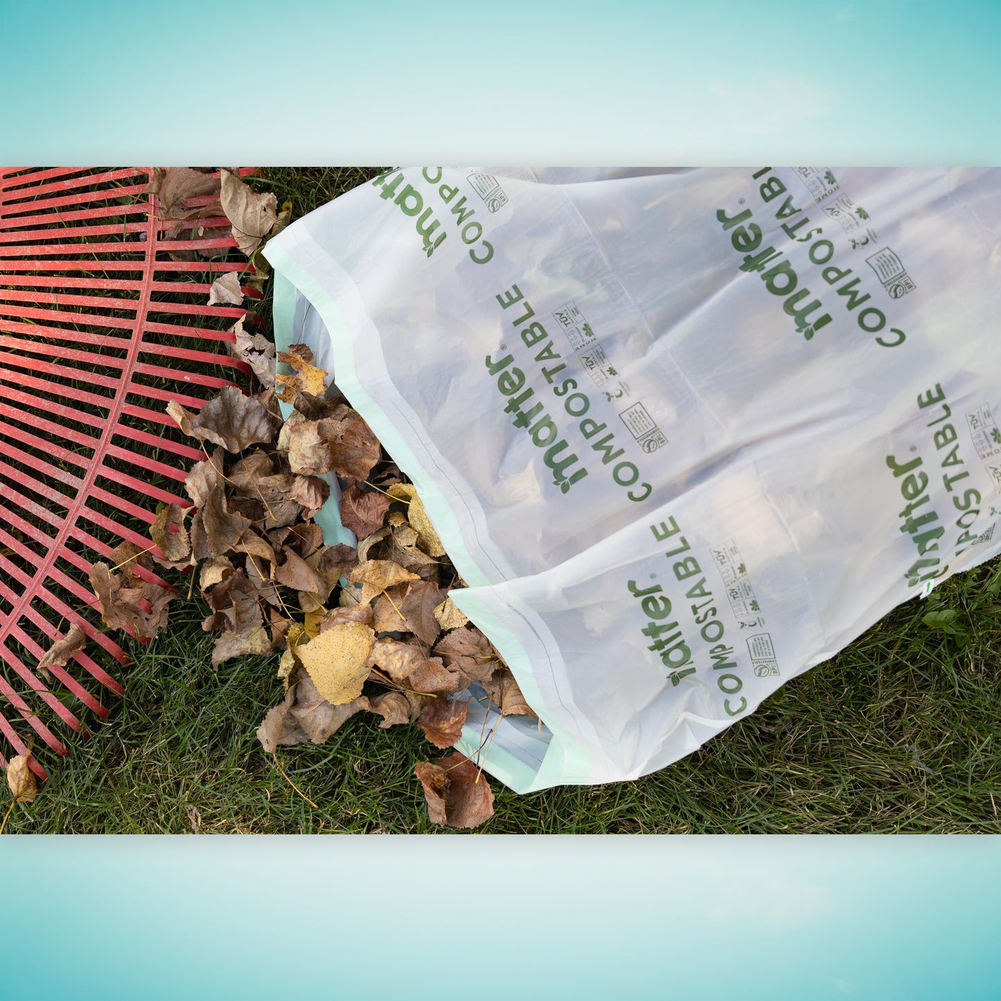 Matter Compostable Lawn & Leaf 33-Gallon Bags - 10 Count